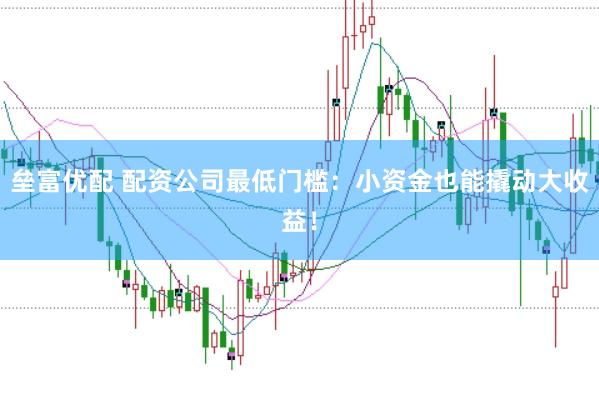 垒富优配 配资公司最低门槛：小资金也能撬动大收益！