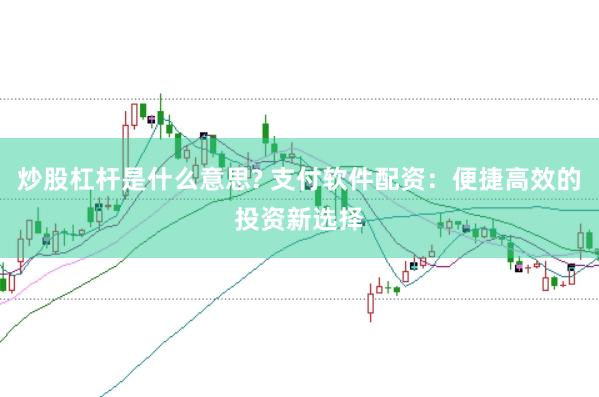 炒股杠杆是什么意思? 支付软件配资：便捷高效的投资新选择