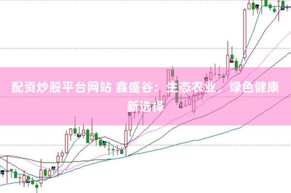 配资炒股平台网站 鑫盛谷：生态农业，绿色健康新选择