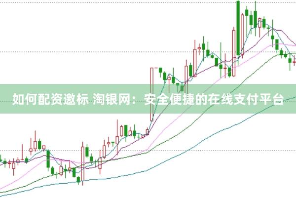 如何配资邀标 淘银网：安全便捷的在线支付平台