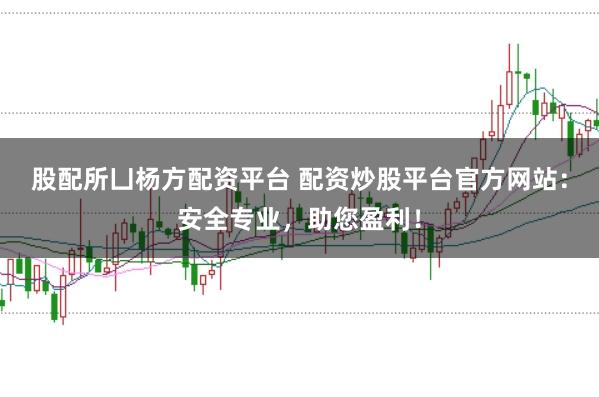 股配所凵杨方配资平台 配资炒股平台官方网站：安全专业，助您盈利！