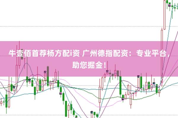 牛壹佰首荐杨方配i资 广州德指配资：专业平台，助您掘金！