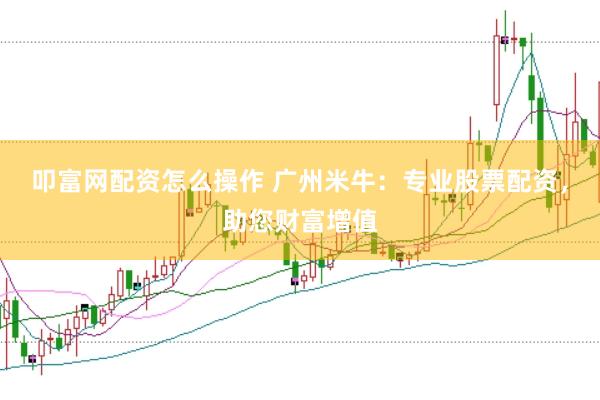 叩富网配资怎么操作 广州米牛：专业股票配资，助您财富增值