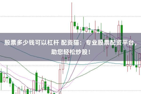 股票多少钱可以杠杆 配资猫：专业股票配资平台，助您轻松炒股！