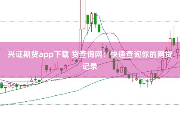 兴证期货app下载 贷查询网：快速查询你的网贷记录